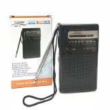 RADIO PORTATIL AM/FM LELONG LE-650/651